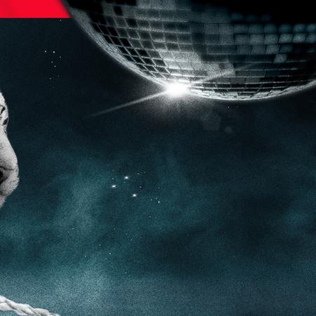 Titelbild des ARD-Podcasts "Wild Crimes" - der weiße Tiger Mantacore steht auf einer Discokugel